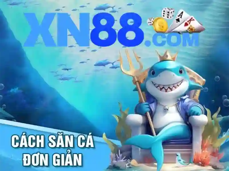 Giao diện và trải nghiệm người dùng