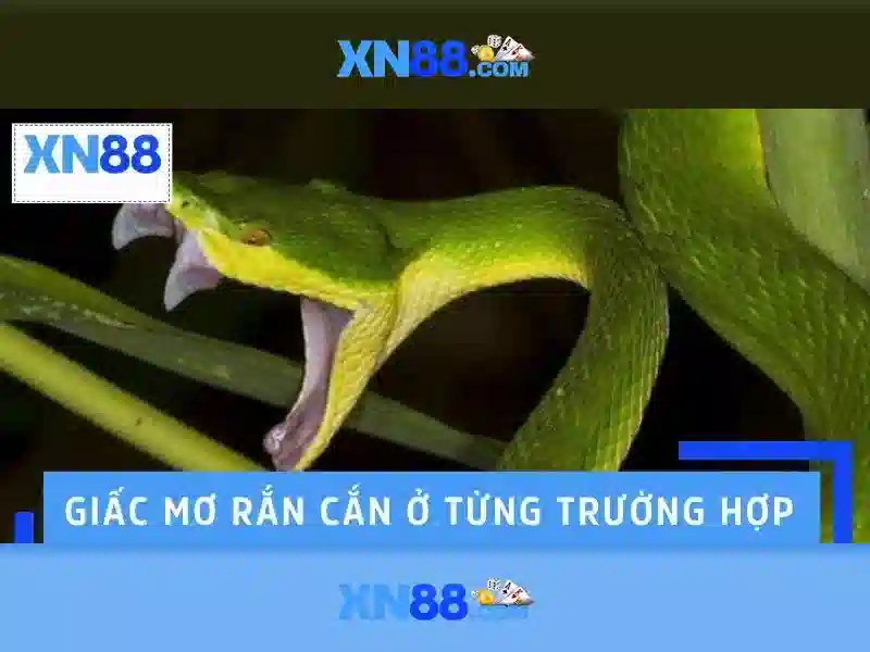 An toàn và bảo mật