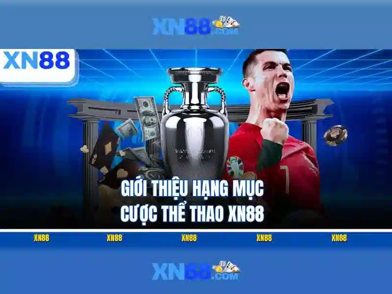 Lĩnh vực hoạt động