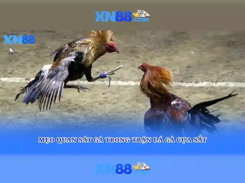 Hướng dẫn đăng ký và tham gia