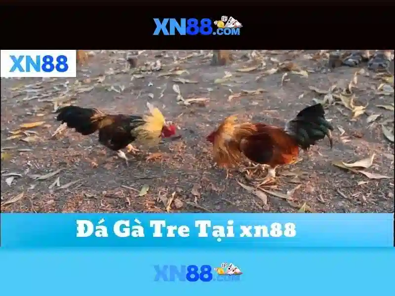 uy-tin-xn88