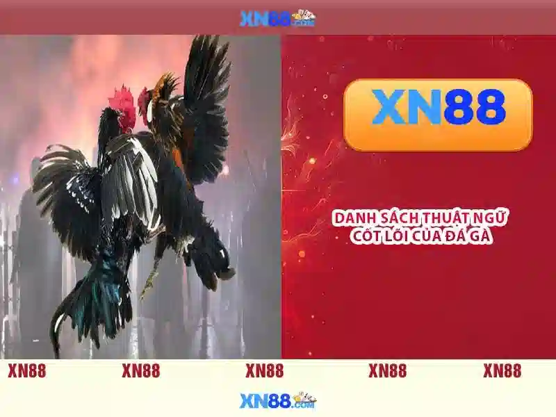Trò chơi và ứng dụng di động