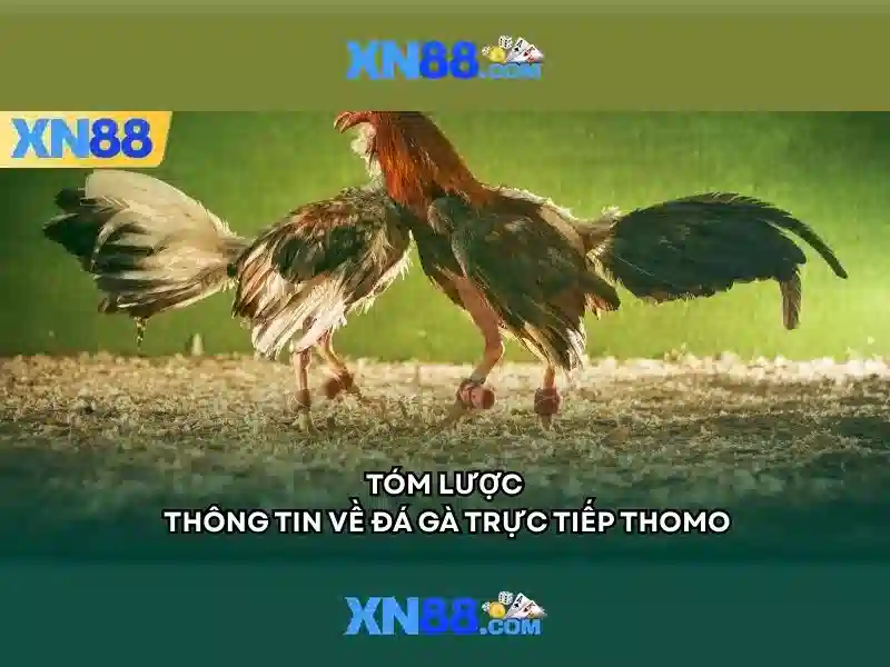 Xn88: Khám phá nền tảng trực tuyến nổi bật Giao diện nhà cái hoàn hảo