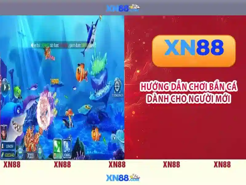 Nền tảng và mục tiêu xn88