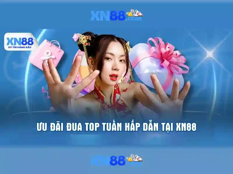 Nền tảng và cơ sở hoạt động