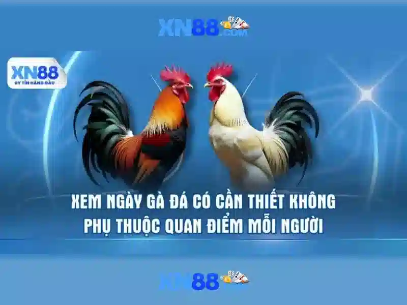 Tính năng và lợi ích của xn88