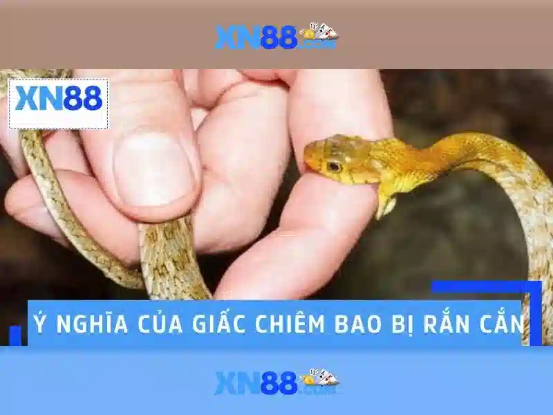 xn88 - Tổng quan, cách tham gia và an toàn khi chơi Giao diện nhà cái hoàn hảo