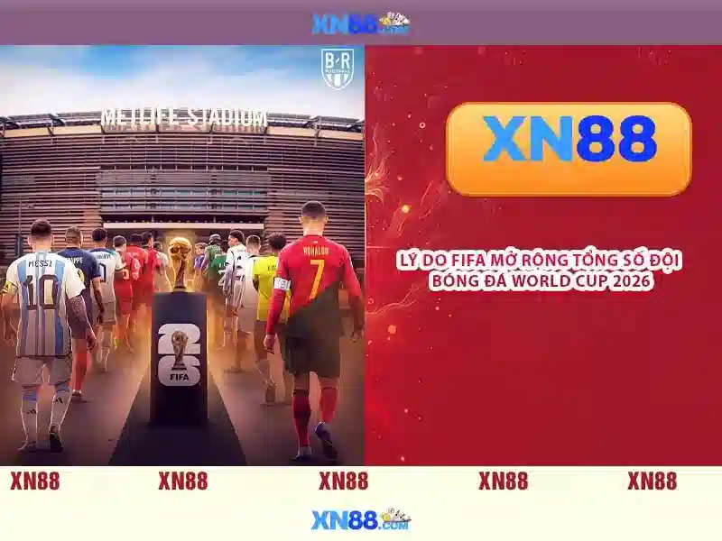 Giới thiệu về xn88