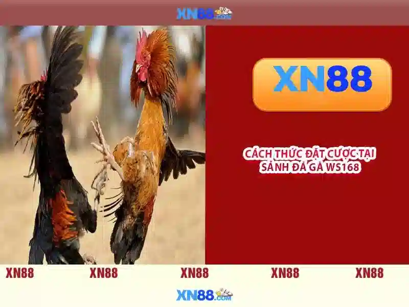 Các dòng trò chơi có mặt trên xn88