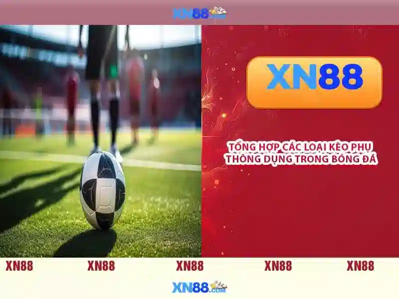 Giới thiệu về xn88
