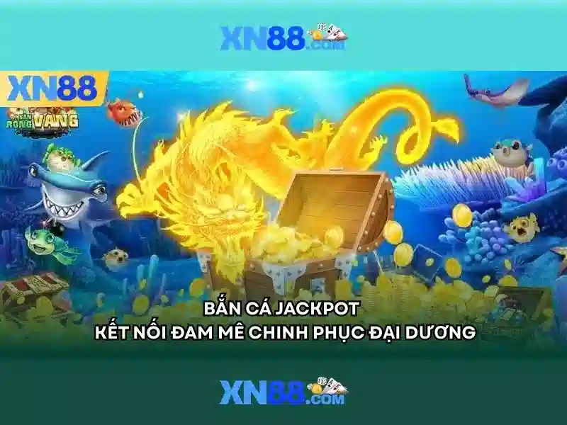 Nền tảng và sản phẩm