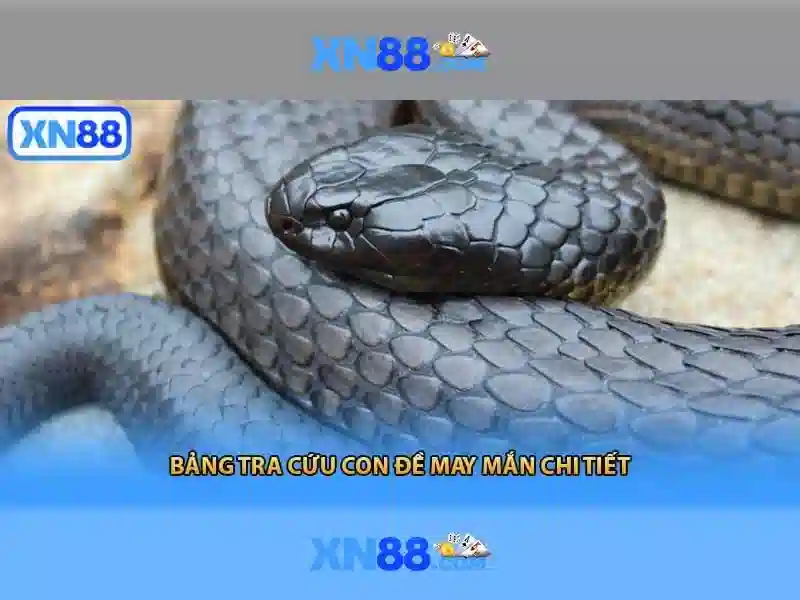 An toàn và bảo mật tại xn88