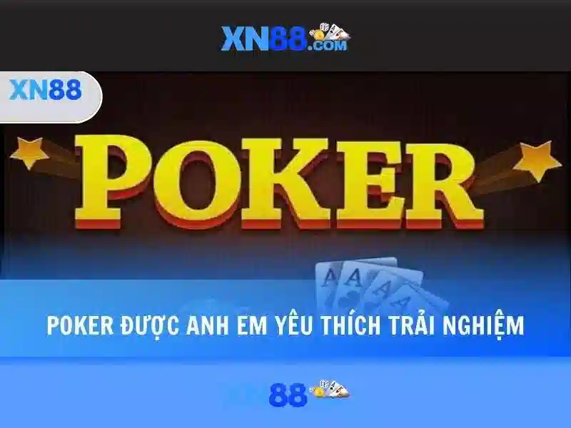 An toàn và chăm sóc người chơi