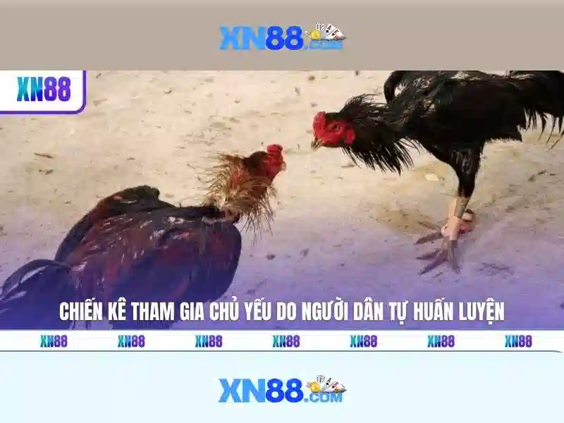 Các trò chơi và chức năng trên xn88