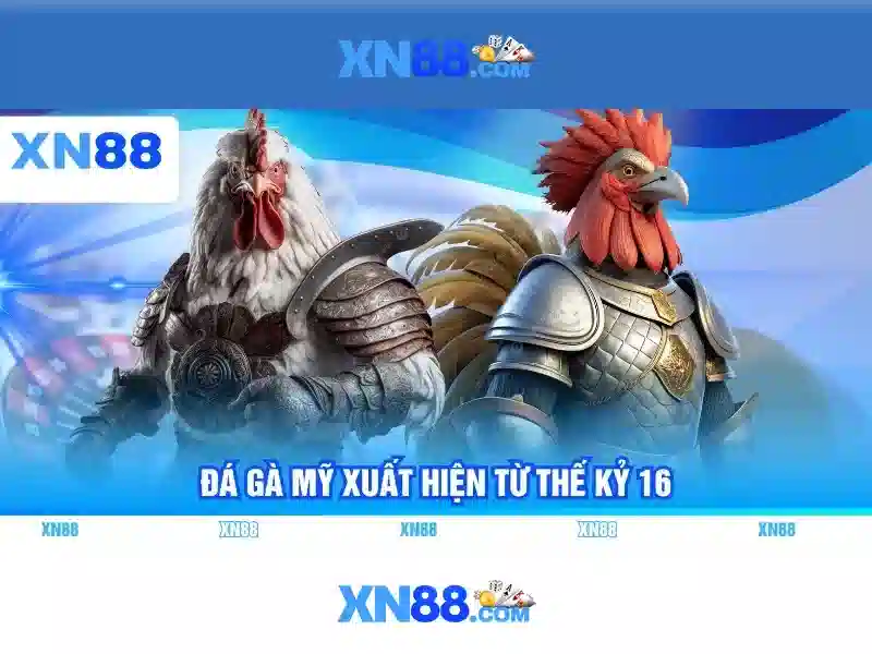 Các sản phẩm chính của xn88