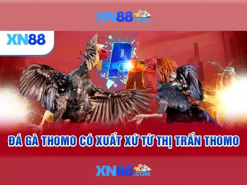 Ghi chú và hỗ trợ người chơi