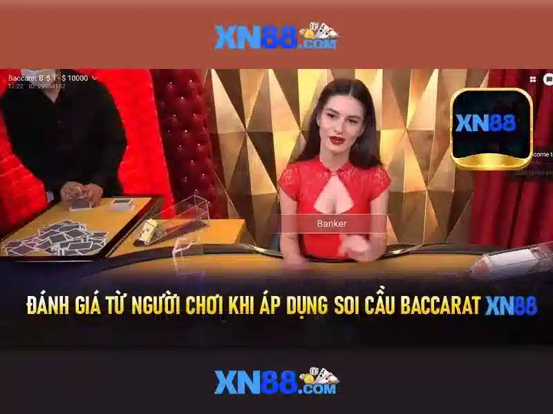 Xn88: Nền tảng cá cược và trò chơi trực tuyến Giao diện nhà cái hoàn hảo