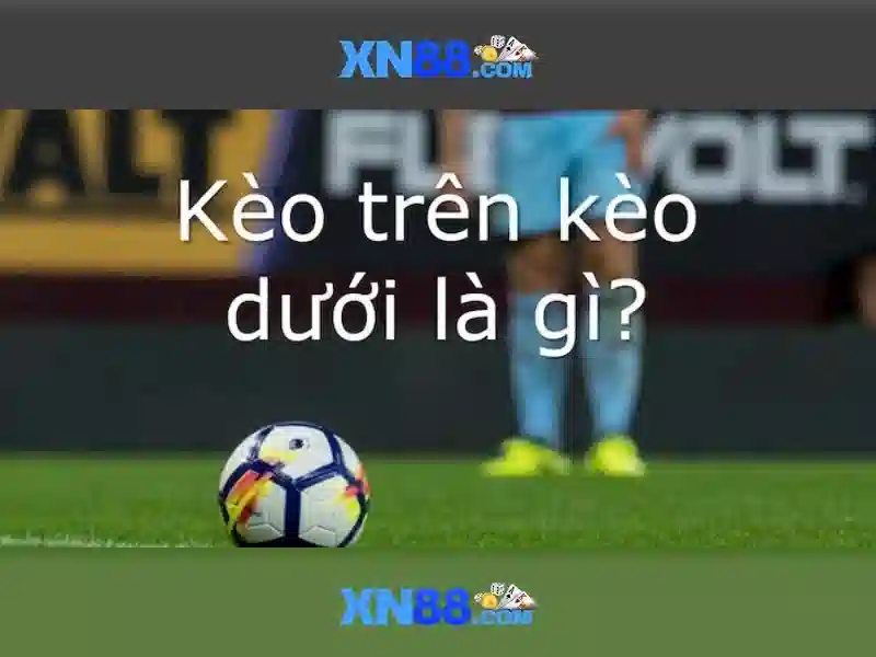 Tính năng và ưu đãi
