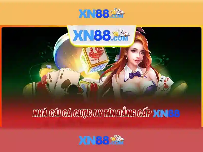 Công ty và giấy phép