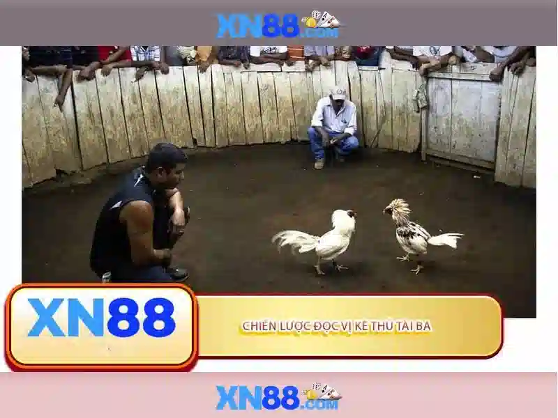 Ý nghĩa của xn88 trong cộng đồng người chơi