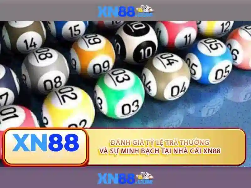 Trải nghiệm người dùng và cộng đồng