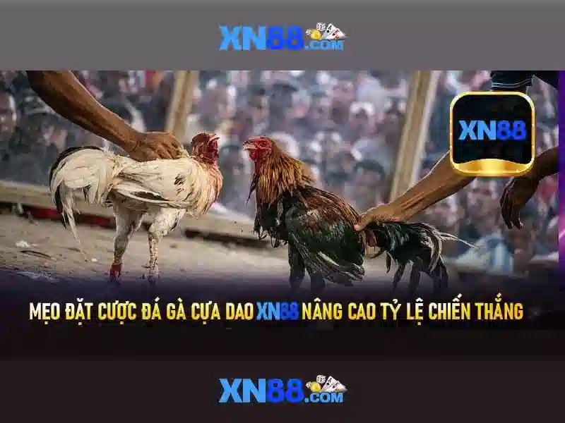 An toàn và bảo mật