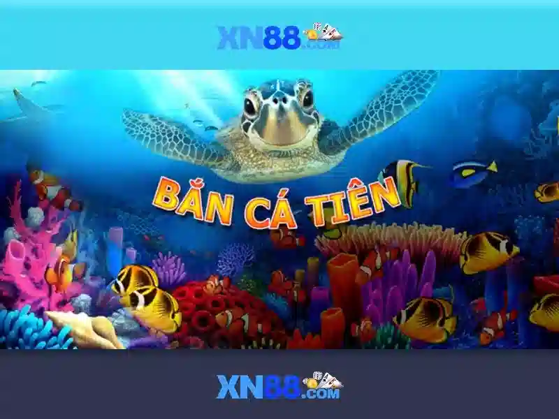 Bảo mật và thanh toán