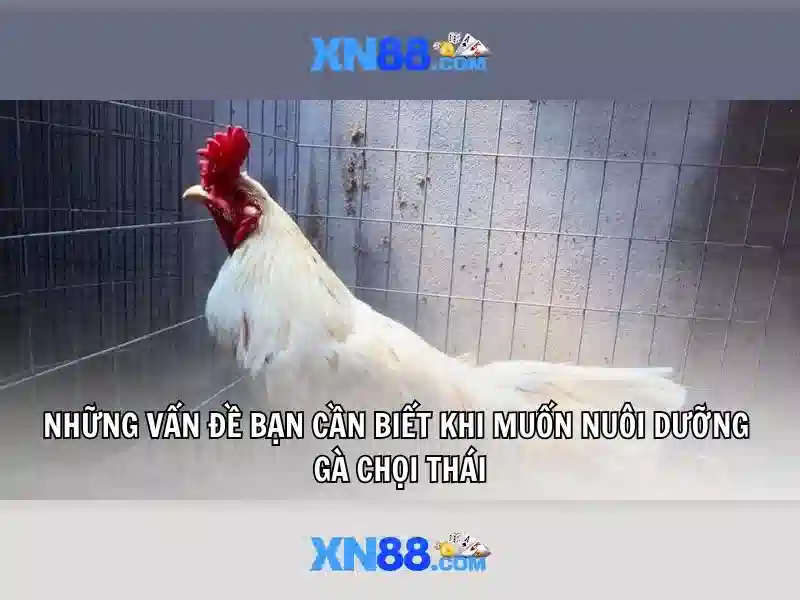 xn88 là gì và tại sao nó nổi bật?
