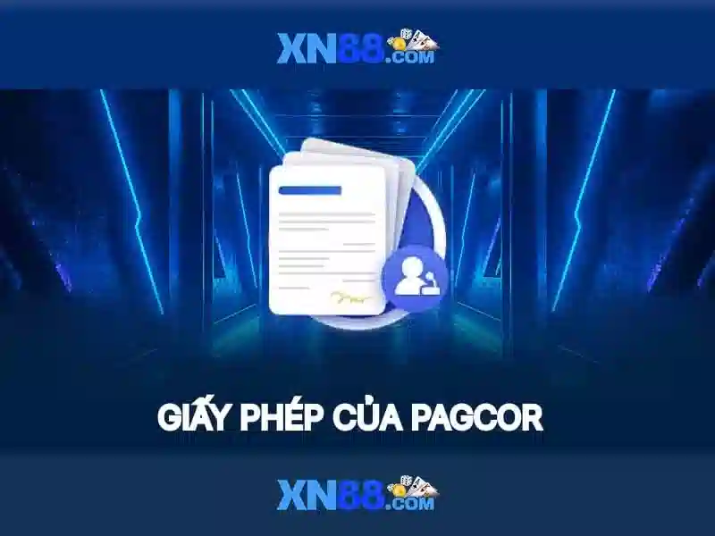 Tổng quan về xn88