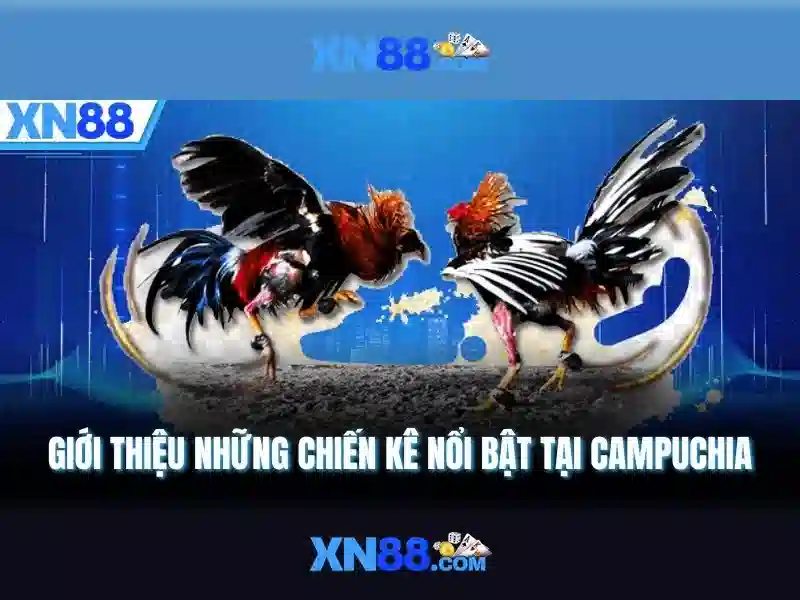 Giao diện nhà cái hoàn hảo