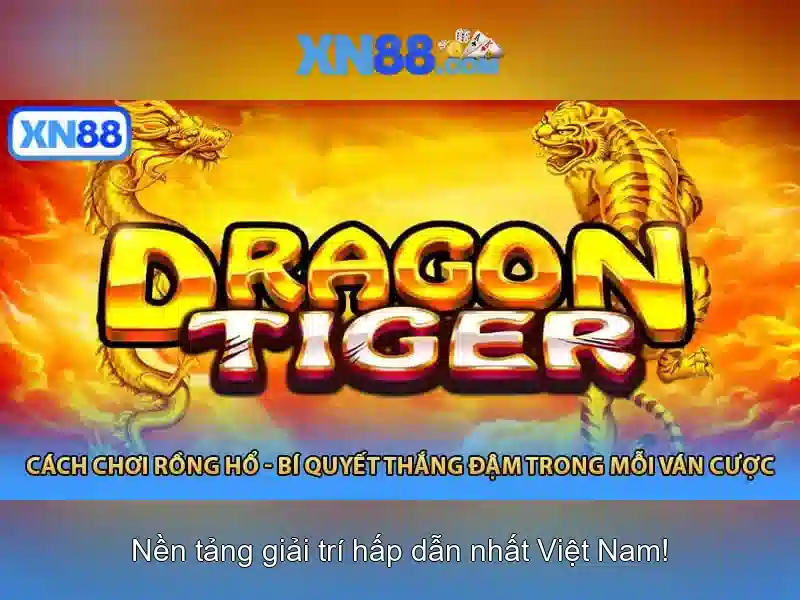 Lịch sử và phát triển