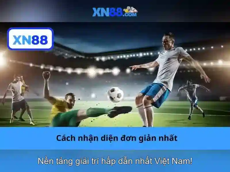 Trải nghiệm người dùng và giao diện