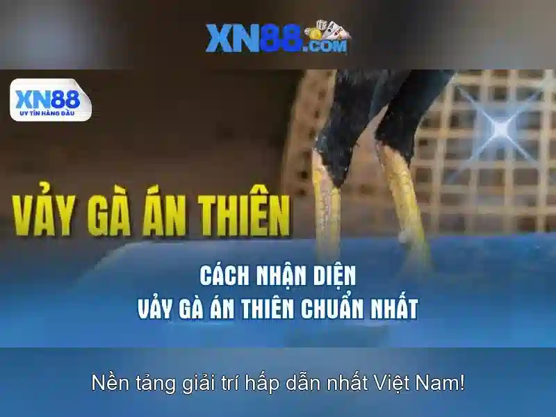 Lịch sử và minh bạch