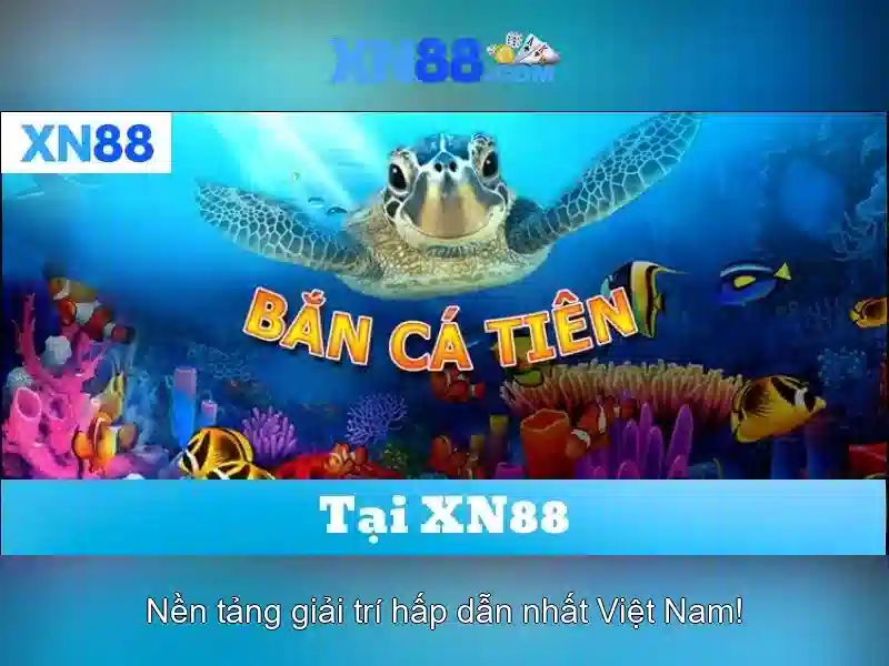 Cách thức hoạt động và các sản phẩm liên quan tới xn88