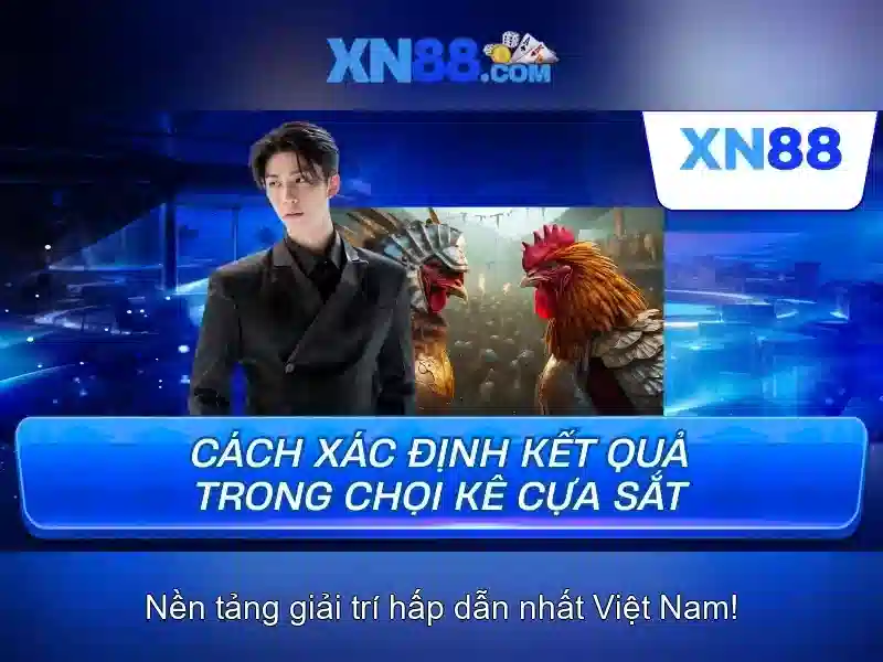 Giới thiệu về xn88