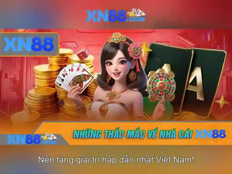 Nền tảng và dịch vụ