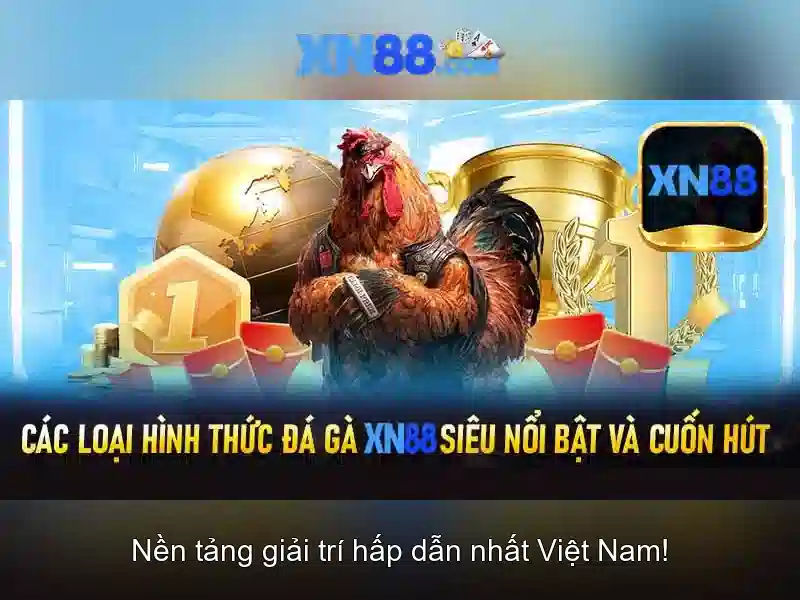 xn88: Tổng quan về nhà cái trên mạng Giao diện nhà cái hoàn hảo