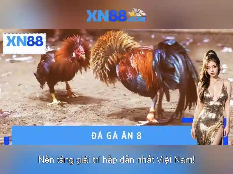 Lịch sử và mục tiêu