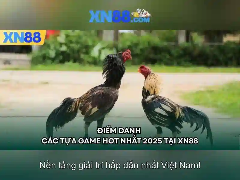 Bảo vệ giao dịch
