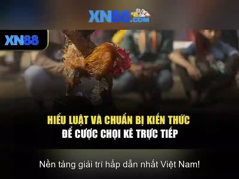 XN88 là gì?