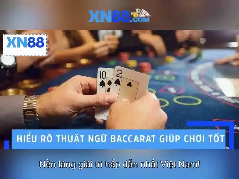Hỗ trợ và cộng đồng