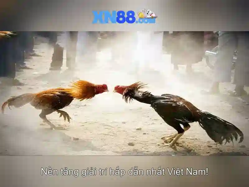 Giới thiệu về xn88