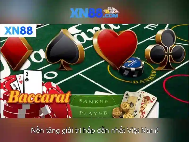 Giới thiệu về xn88