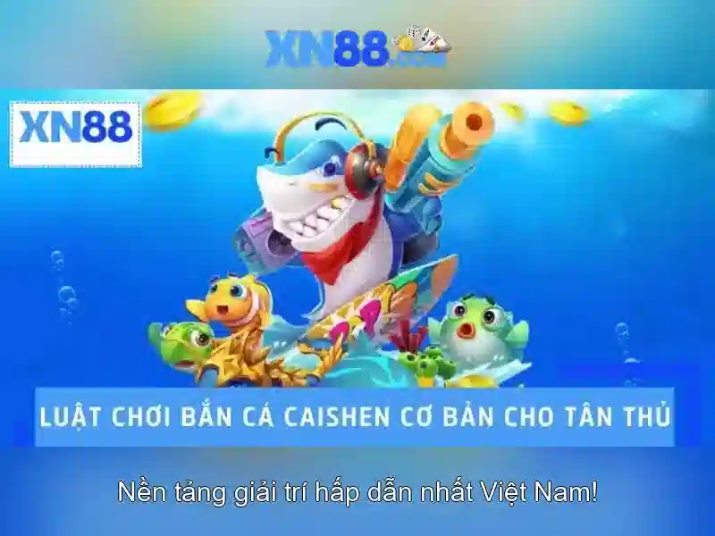 Hướng dẫn bắt đầu cho người mới
