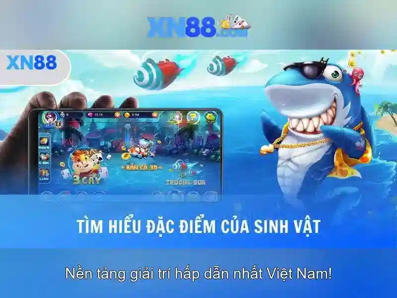 Giới thiệu về xn88