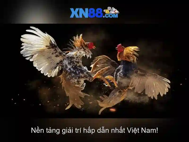 Hỗ trợ khách hàng và hướng dẫn tham gia