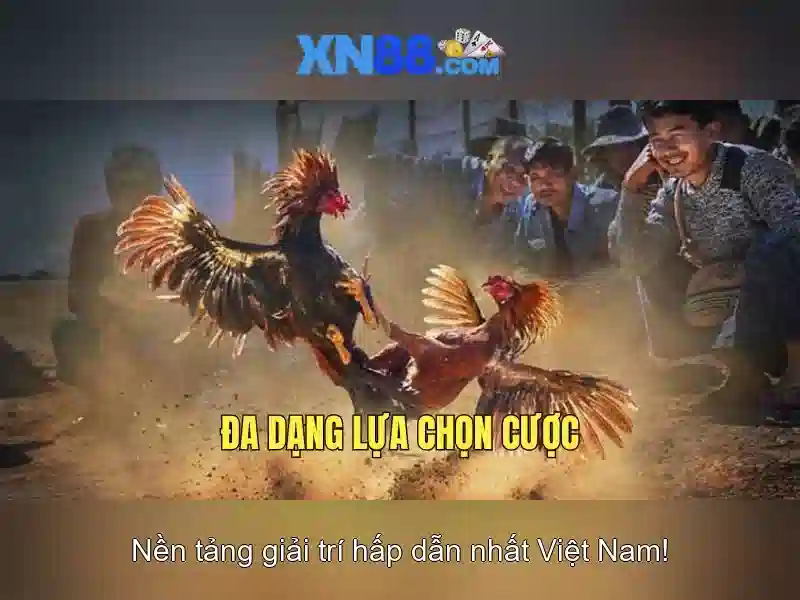 Nền tảng và trò chơi