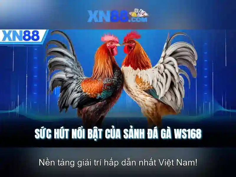 Các tính năng nổi bật của Xn88