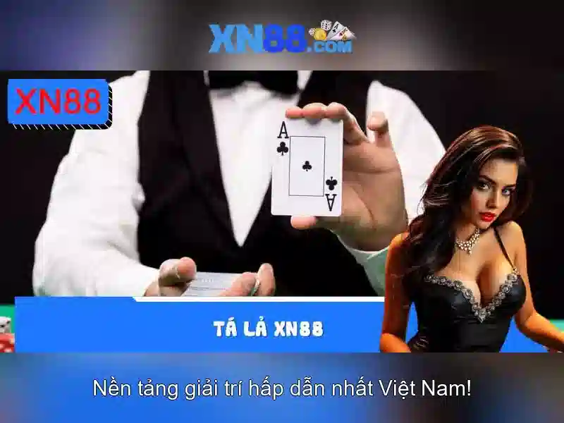 Nền tảng và giao diện