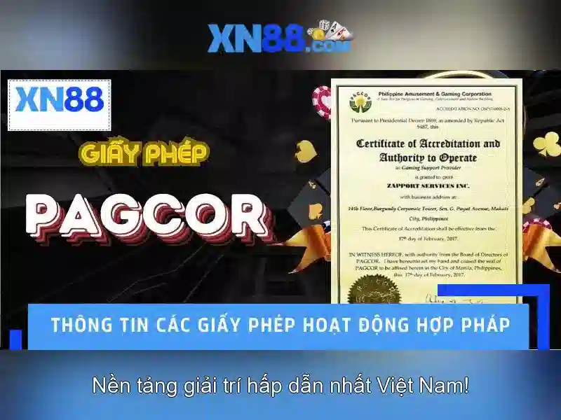 Lịch sử và nguồn gốc của xn88